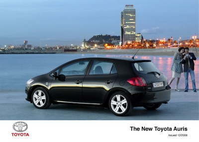 auris3.jpg