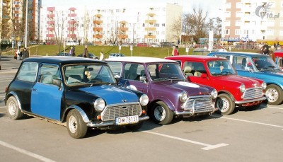 garbusy_wosp28.jpg
